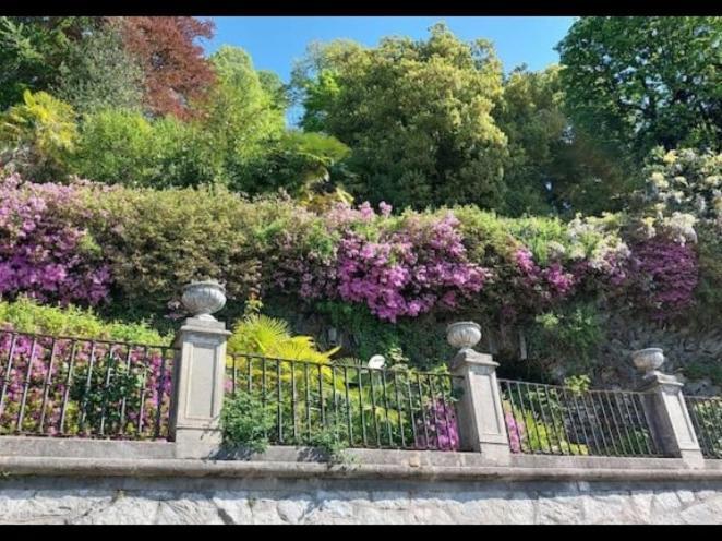 オルタ・サン・ジューリオ Casa Ildaヴィラ エクステリア 写真